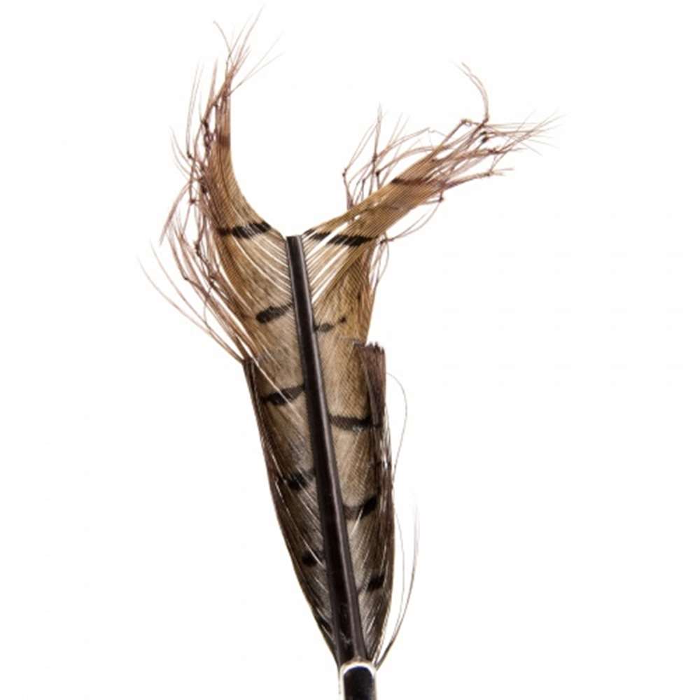 Knotted Cranefly Legs Dark